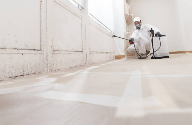 24/7 Emergency Bathroom Mold Removal experts in Parker Ford, PA