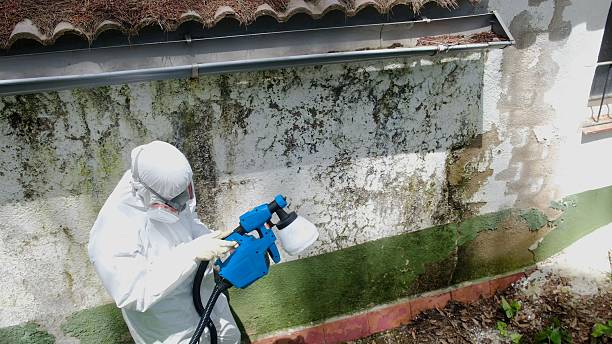 Top rated local Bathroom Mold Removal specialists in Parker Ford, PA